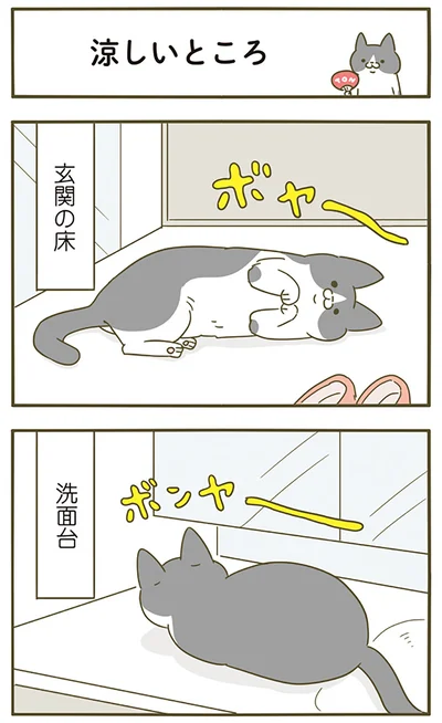 『うちの猫がまた変なことしてる。4』より
