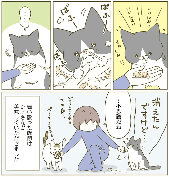 『うちの猫がまた変なことしてる。4』より