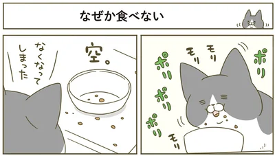『うちの猫がまた変なことしてる。4』より