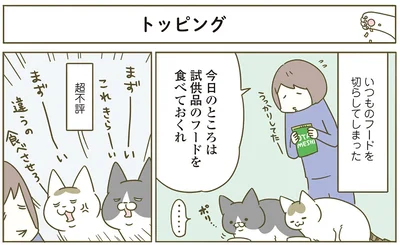 『うちの猫がまた変なことしてる。4』より