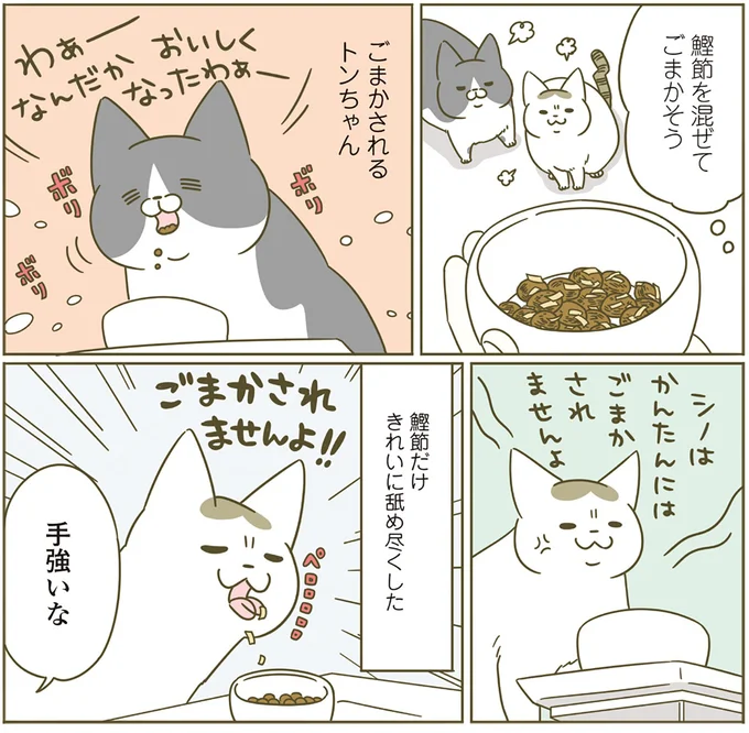 『うちの猫がまた変なことしてる。4』より