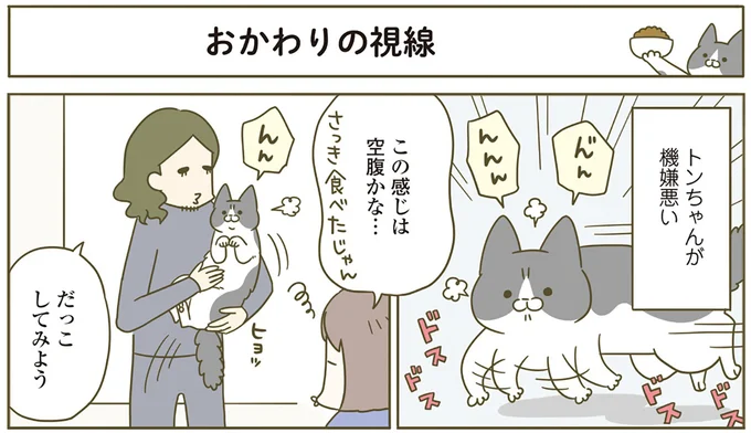 『うちの猫がまた変なことしてる。4』より
