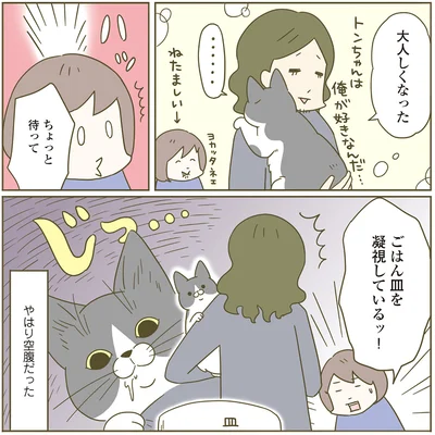 『うちの猫がまた変なことしてる。4』より