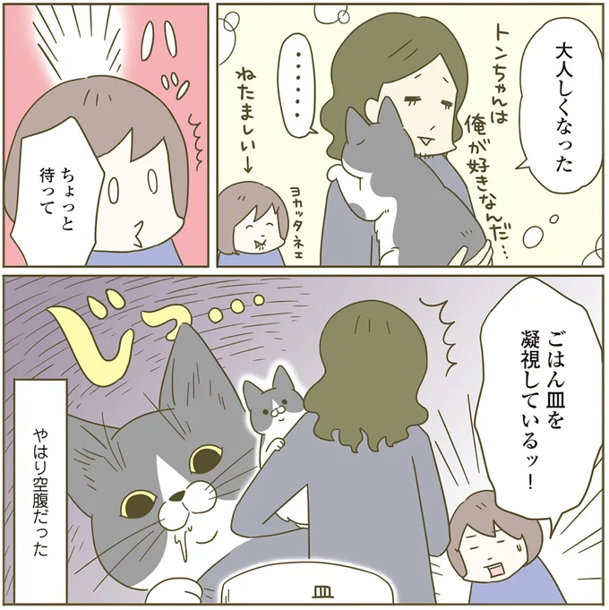 『うちの猫がまた変なことしてる。4』より