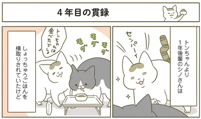 『うちの猫がまた変なことしてる。4』より