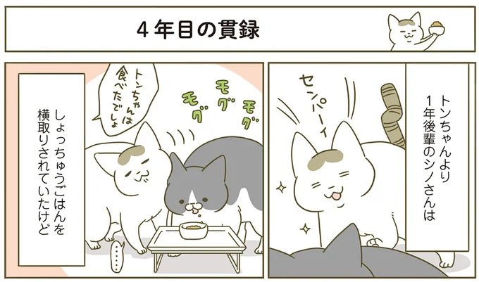 『うちの猫がまた変なことしてる。4』より