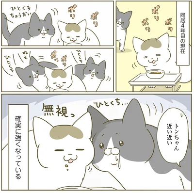 『うちの猫がまた変なことしてる。4』より