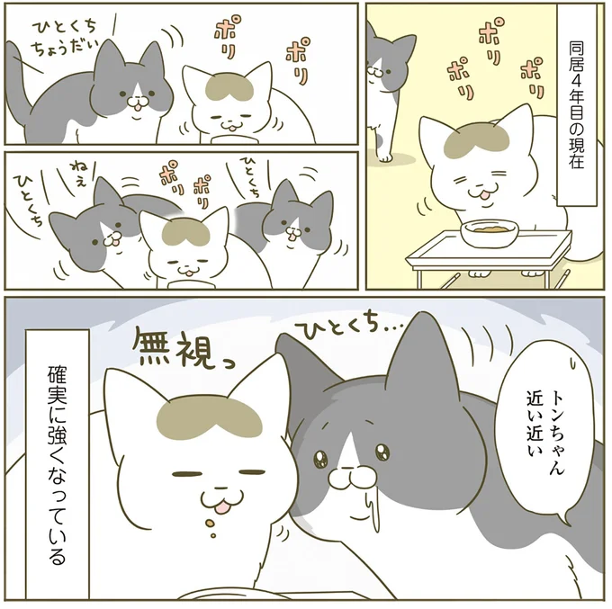 『うちの猫がまた変なことしてる。4』より