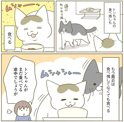 『うちの猫がまた変なことしてる。4』より