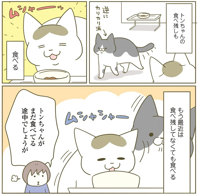 『うちの猫がまた変なことしてる。4』より