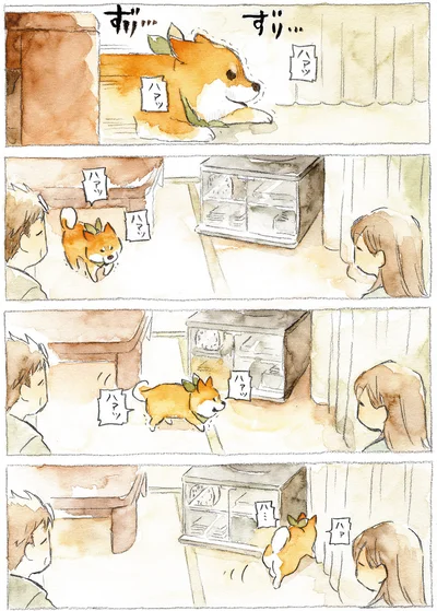 『柴犬ぽんちゃん、今日もわが道を行く』より