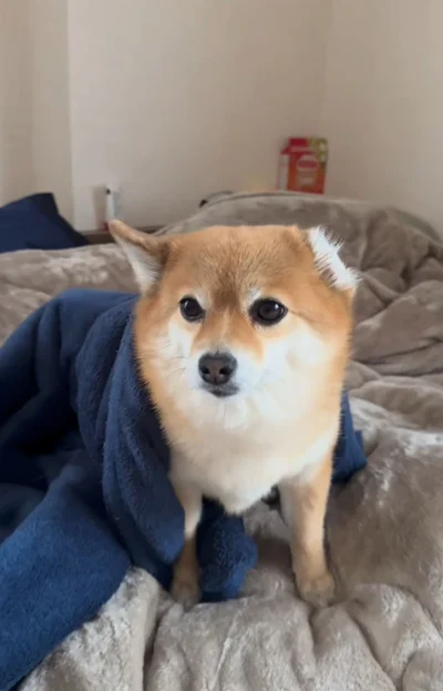 左耳が消えた…！？（⇒次へ）