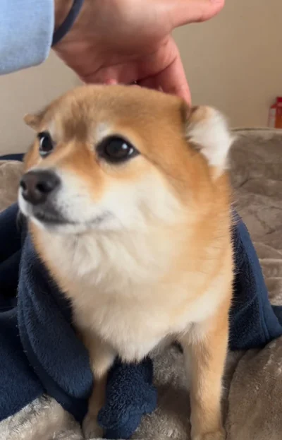 左耳の後ろに指でふれる▶耳はどこにいった！？（⇒次へ）