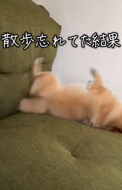 仰向けになって暴れている▶節分の日には…（⇒次へ）