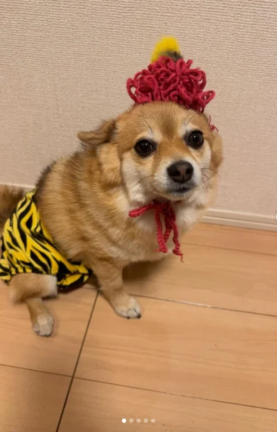 鬼のコスチュームがお似合い▶お散歩タイムでは…（⇒次へ）