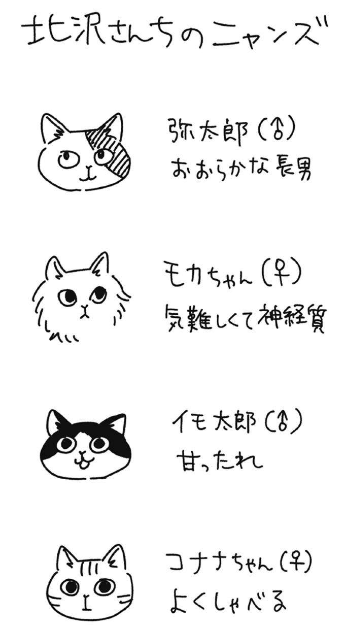 北沢さん家ちのニャンズ