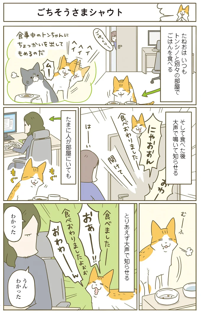 『うちの猫がまた変なことしてる。７』より
