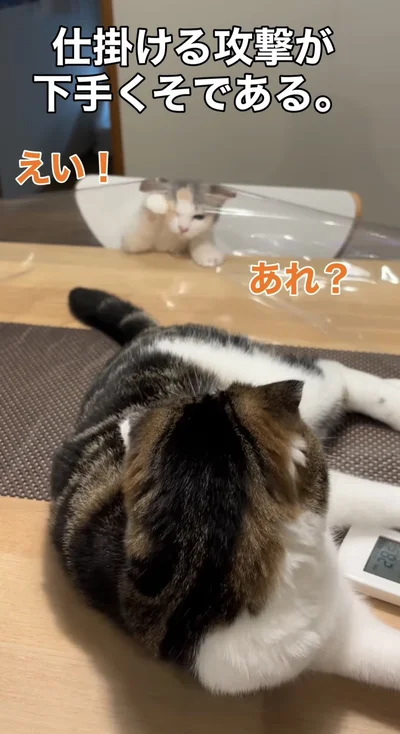 しっぽに触ろうとするも、届かない（⇒次へ）