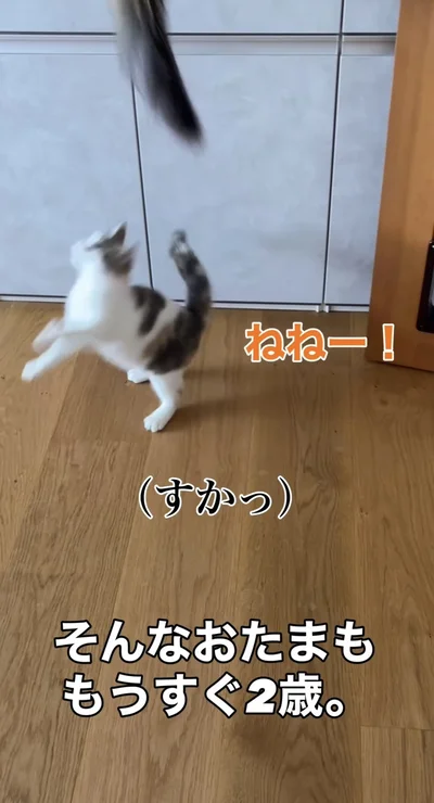 ひょいっとかわし、台の上へ▶空振りに終わり…（⇒次へ）