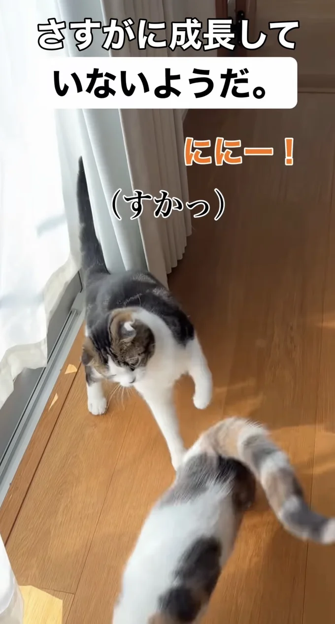 お兄ちゃんが立ち止まり、無事回避▶目の前にあるのに気づかない（⇒次へ）