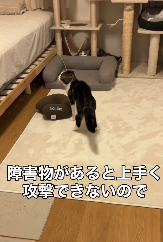 ベッドに上がりたい▶勢いよくジャンプするも…（⇒次へ）