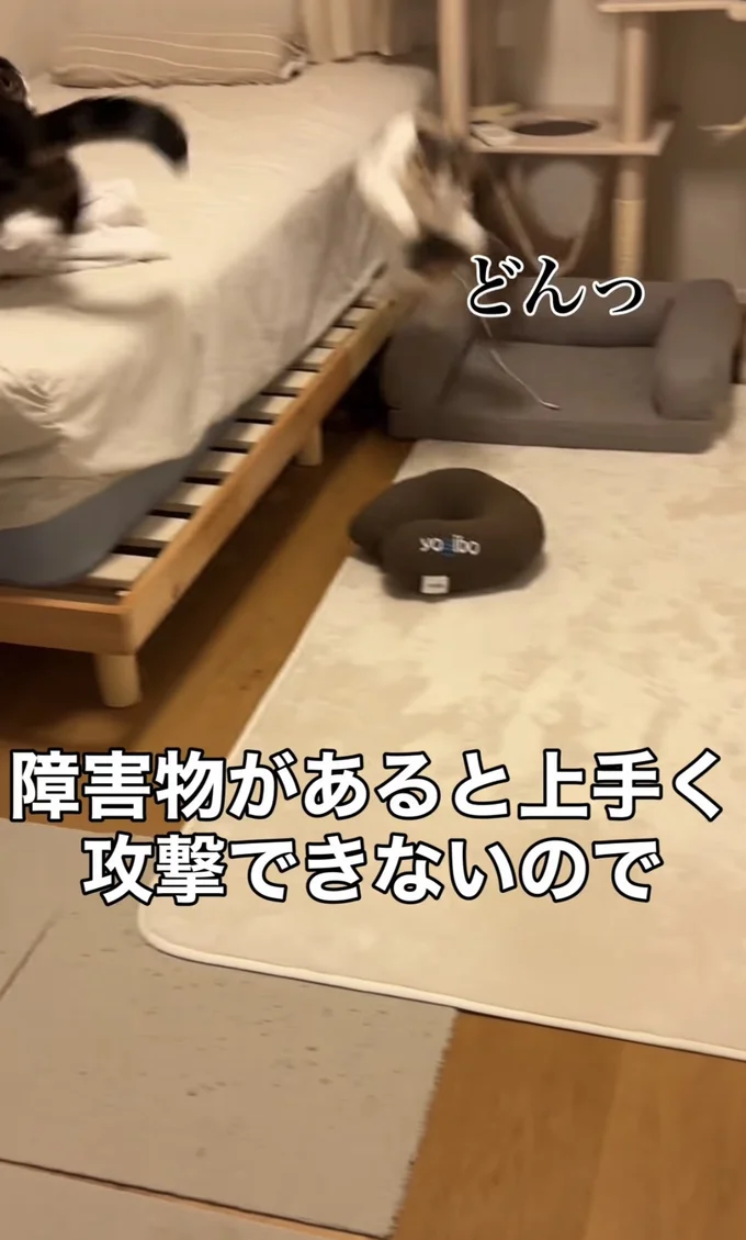 ベッドに激突▶お姉ちゃんを追いかけて…（⇒次へ）