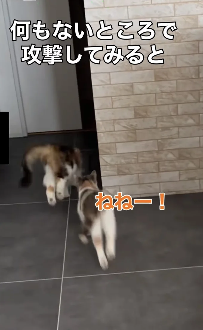 後ろから飛び掛かろうとする▶勢い余って…（⇒次へ）