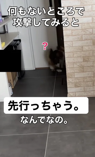 お姉ちゃんを通過してしまった▶お姉ちゃん愛が強すぎて（⇒次へ）