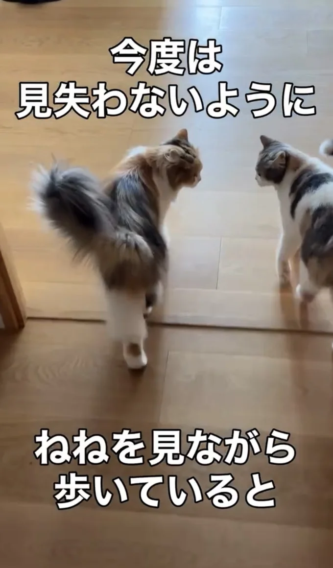 お姉ちゃんを見つめながら歩いている▶前を見ていないから…（⇒次へ）