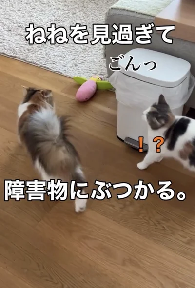 物にぶつかる▶ついて行ったはずなのに（⇒次へ）