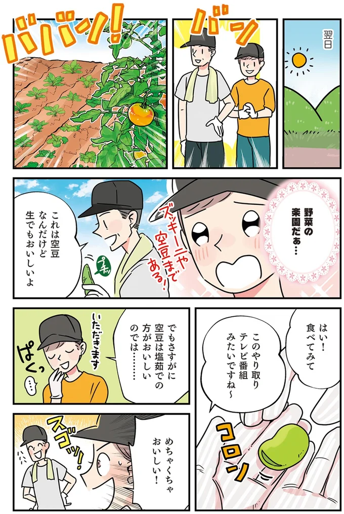 野菜の楽園だぁ…
