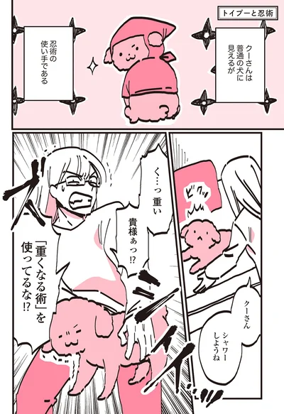 『うちのトイプーがアイドルすぎる。』より