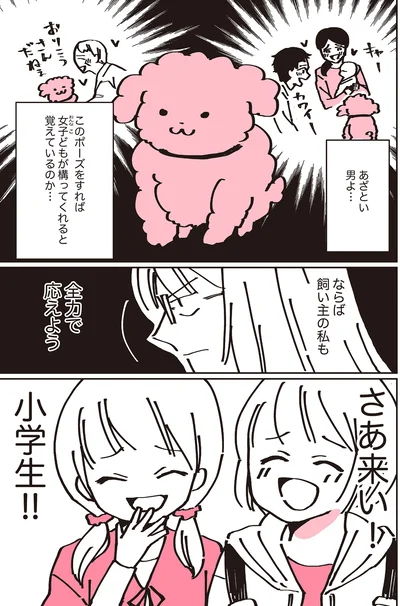 『うちのトイプーがアイドルすぎる。』より