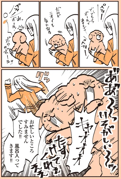 『うちのトイプーがアイドルすぎる。』より