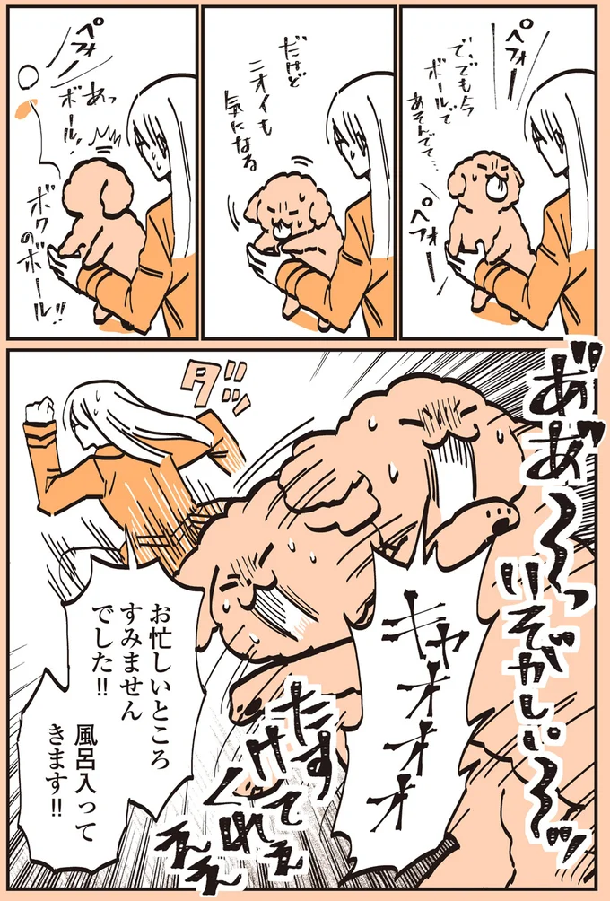 『うちのトイプーがアイドルすぎる。』より