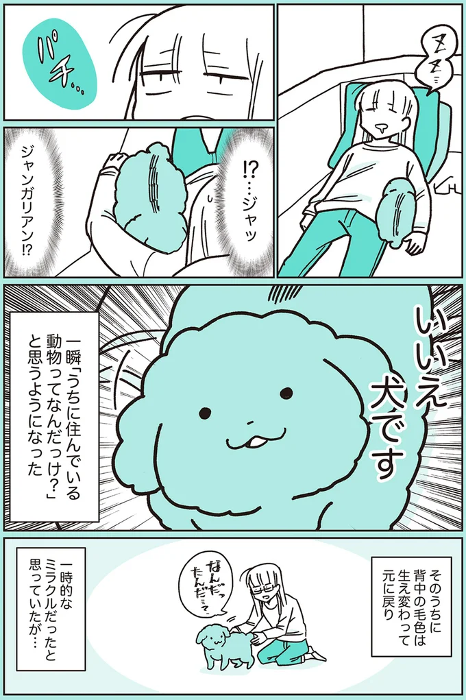 『うちのトイプーがアイドルすぎる。』より