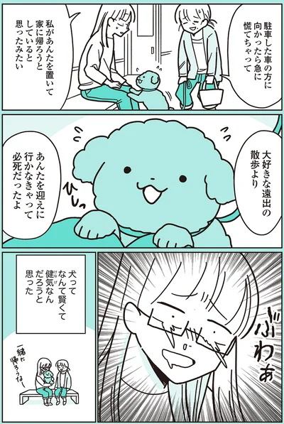 『うちのトイプーがアイドルすぎる。』より