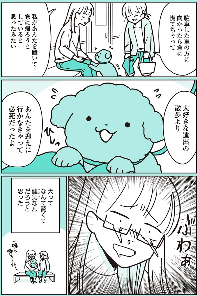 『うちのトイプーがアイドルすぎる。』より