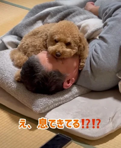 お父さんの顔は枕！？（⇒次へ）