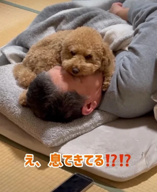 お父さんの顔は枕！？（⇒次へ）