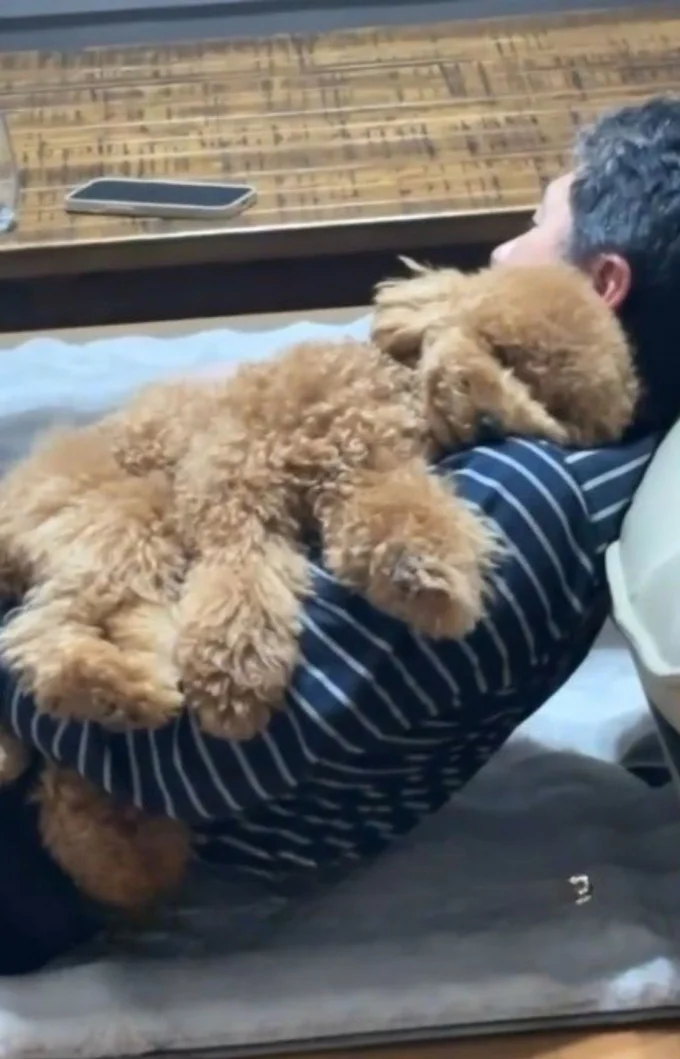 お父さんに抱っこされて眠る「ちゃこたろうくん」（⇒次へ）