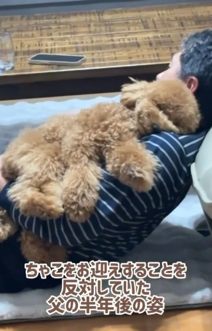 半年後、誰よりもメロメロに▶お母さんのユニークな踊りに…（⇒次へ）