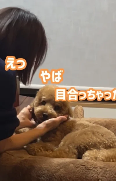 「やば！目合っちゃった…」▶布団を占領（⇒次へ）