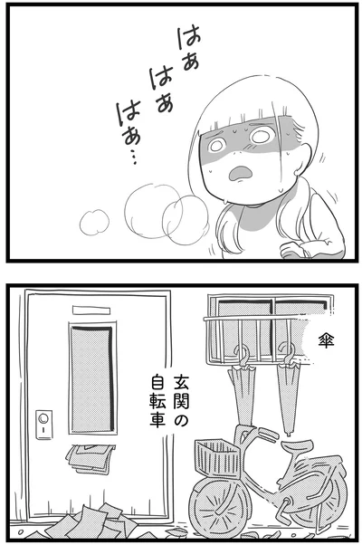 玄関の自転車