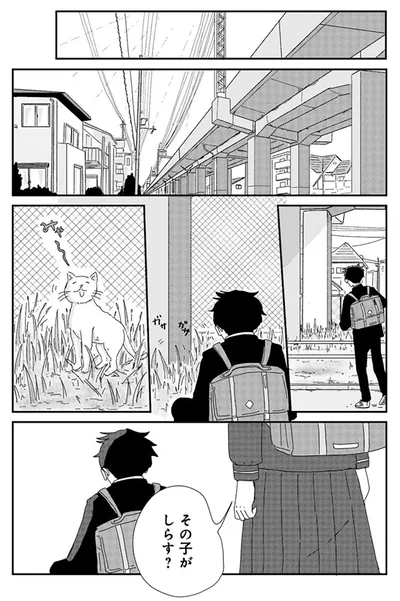 その子がしらす？