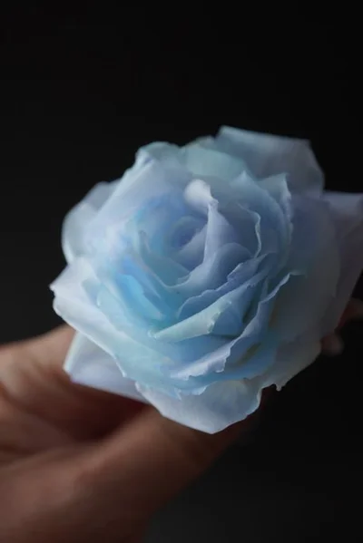 息をのむほどの美しさ！▶本物と見分けがつかないレベルの桜（⇒次へ）