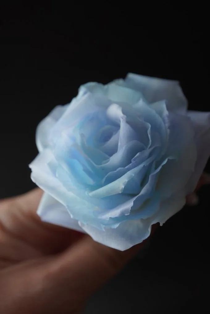 息をのむほどの美しさ！▶本物と見分けがつかないレベルの桜（⇒次へ）