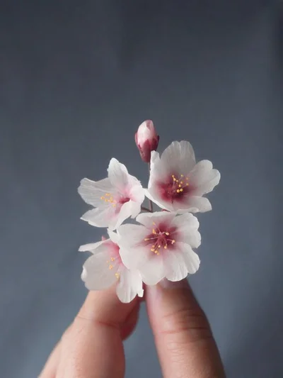 樹脂粘土の桜▶花びらの透け感が素晴らしい（⇒次へ）