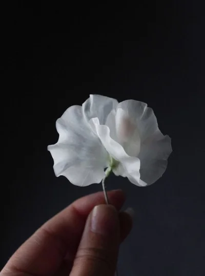 樹脂粘土のスイートピー▶繊細な色合いも再現された胡蝶蘭（⇒次へ）