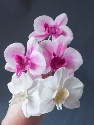 樹脂粘土の胡蝶蘭▶ひねこさんの特別な作品（⇒次へ）